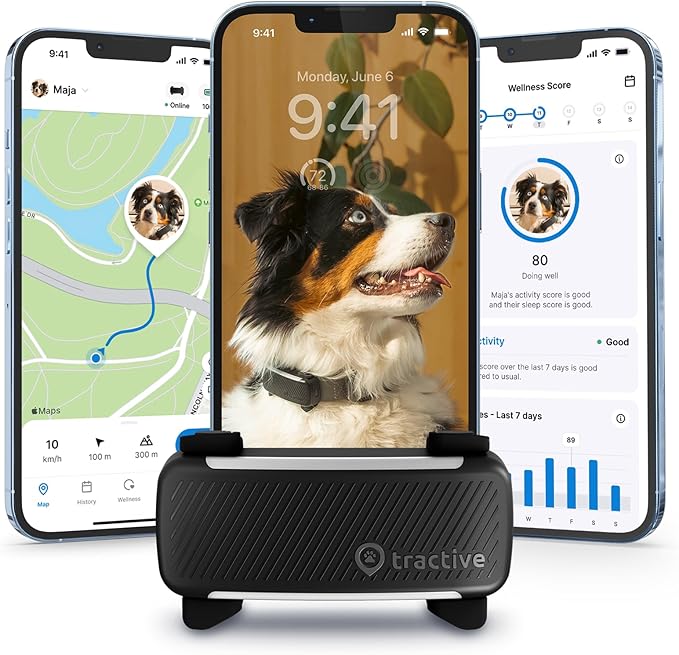 Dog wearing the latest Tractive GPS Dog Tracker.
